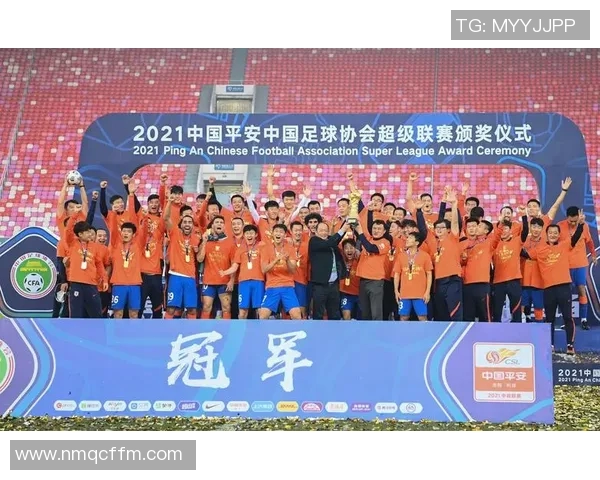 武汉足球队团队协作的成功经验与挑战分析