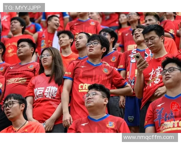 广州排球队实力引发热议球迷对球队未来发展看法各异