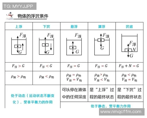 南京篮球队边路渗透战术解析与实战应用探讨